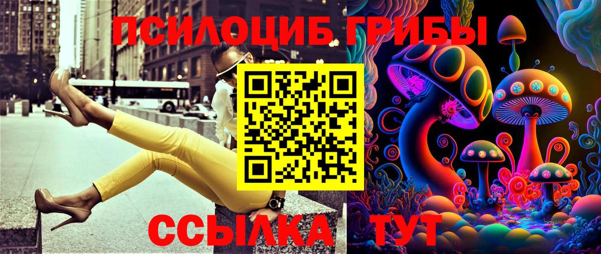 Галлюциногенные грибы Psilocybe Печора